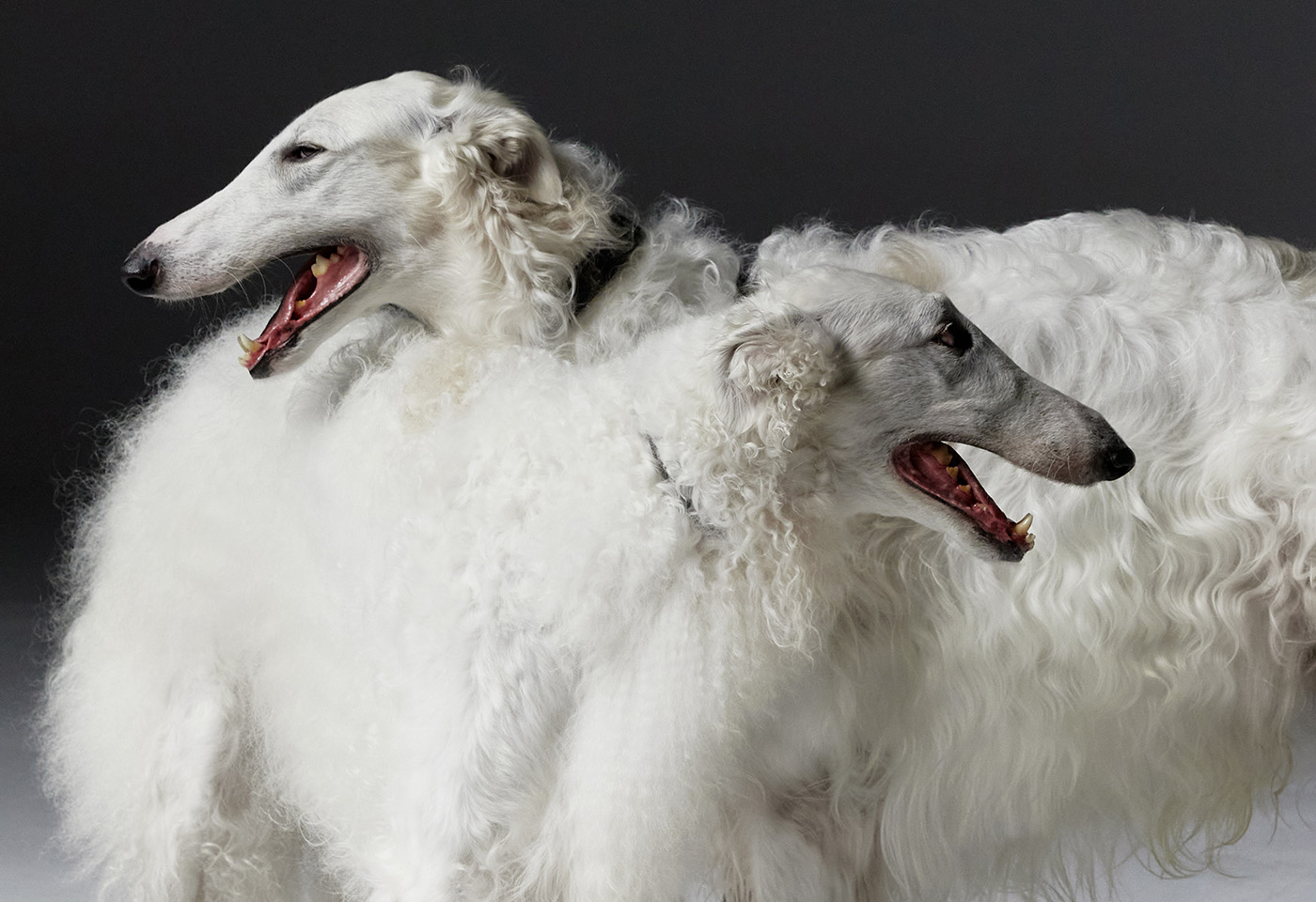 Женская одежда и аксессуары M.REASON